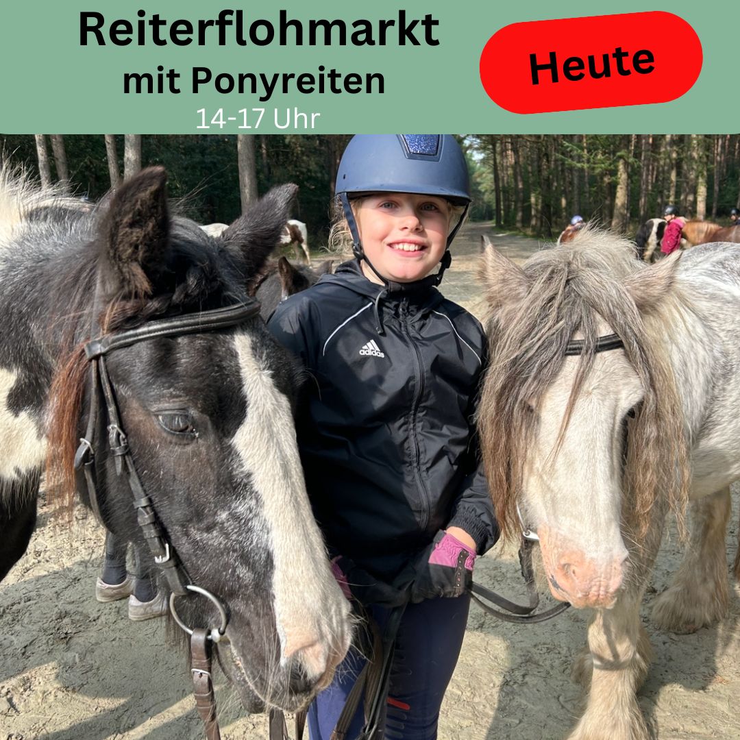 Reiterflohmarkt_0002